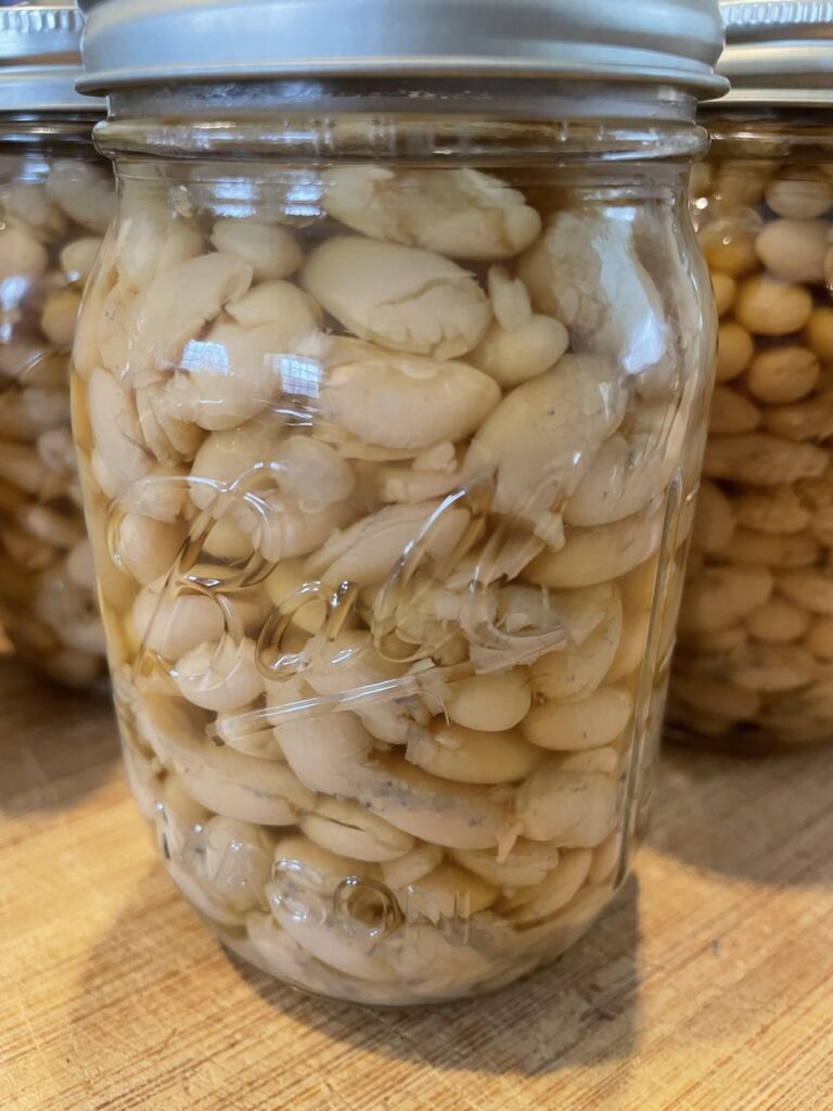 First time canning Great Northern beans First time canning Great Northern beans
