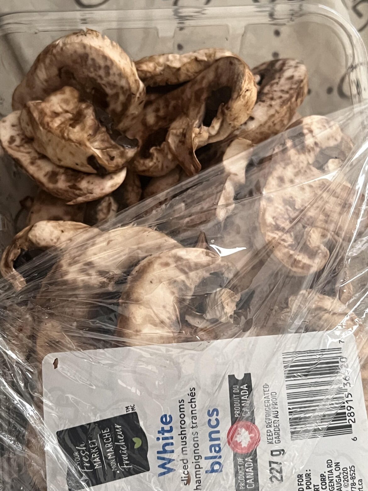 are these mushrooms good to eat?