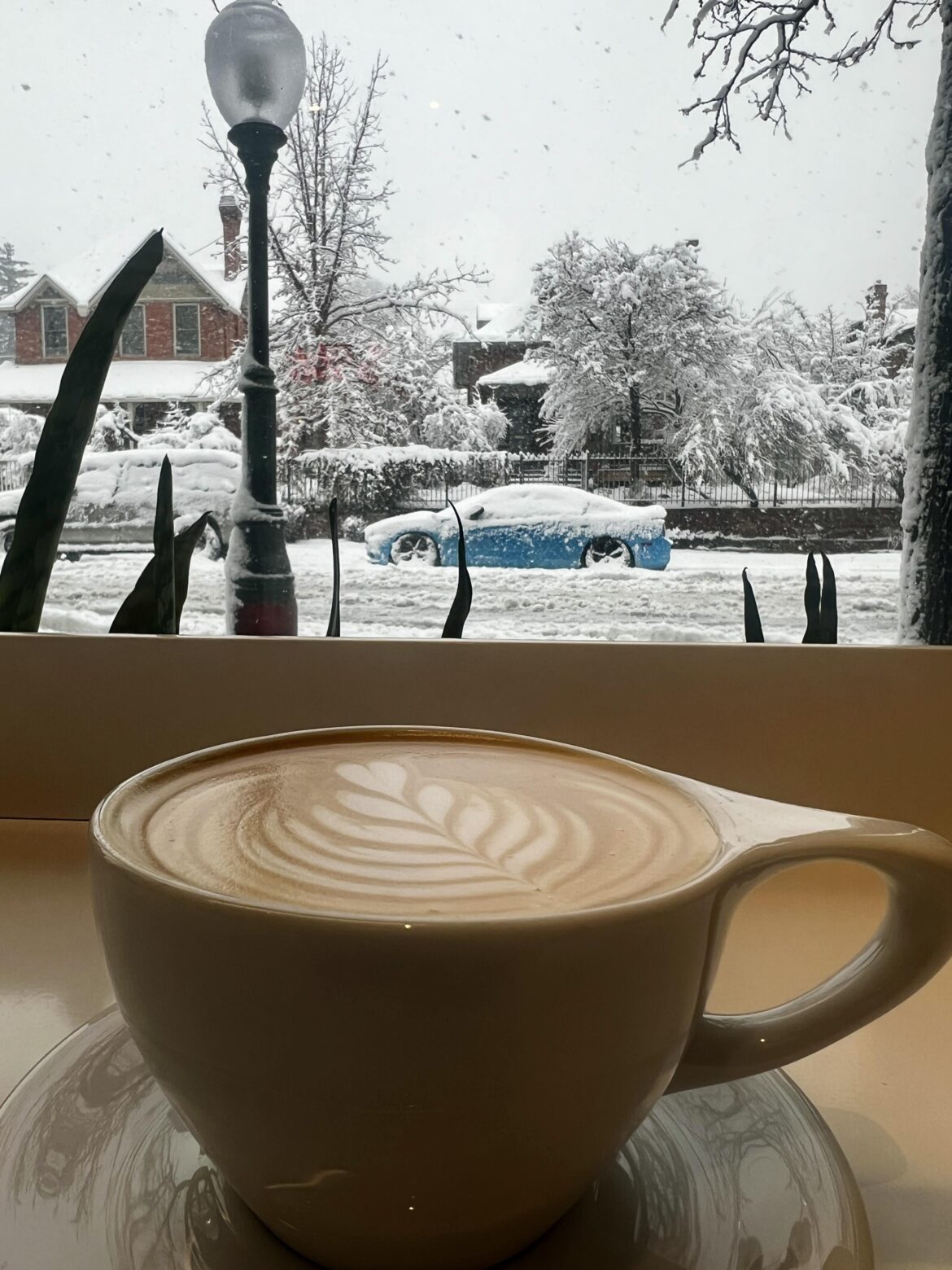 Honeysuckle Ambrosia Latte