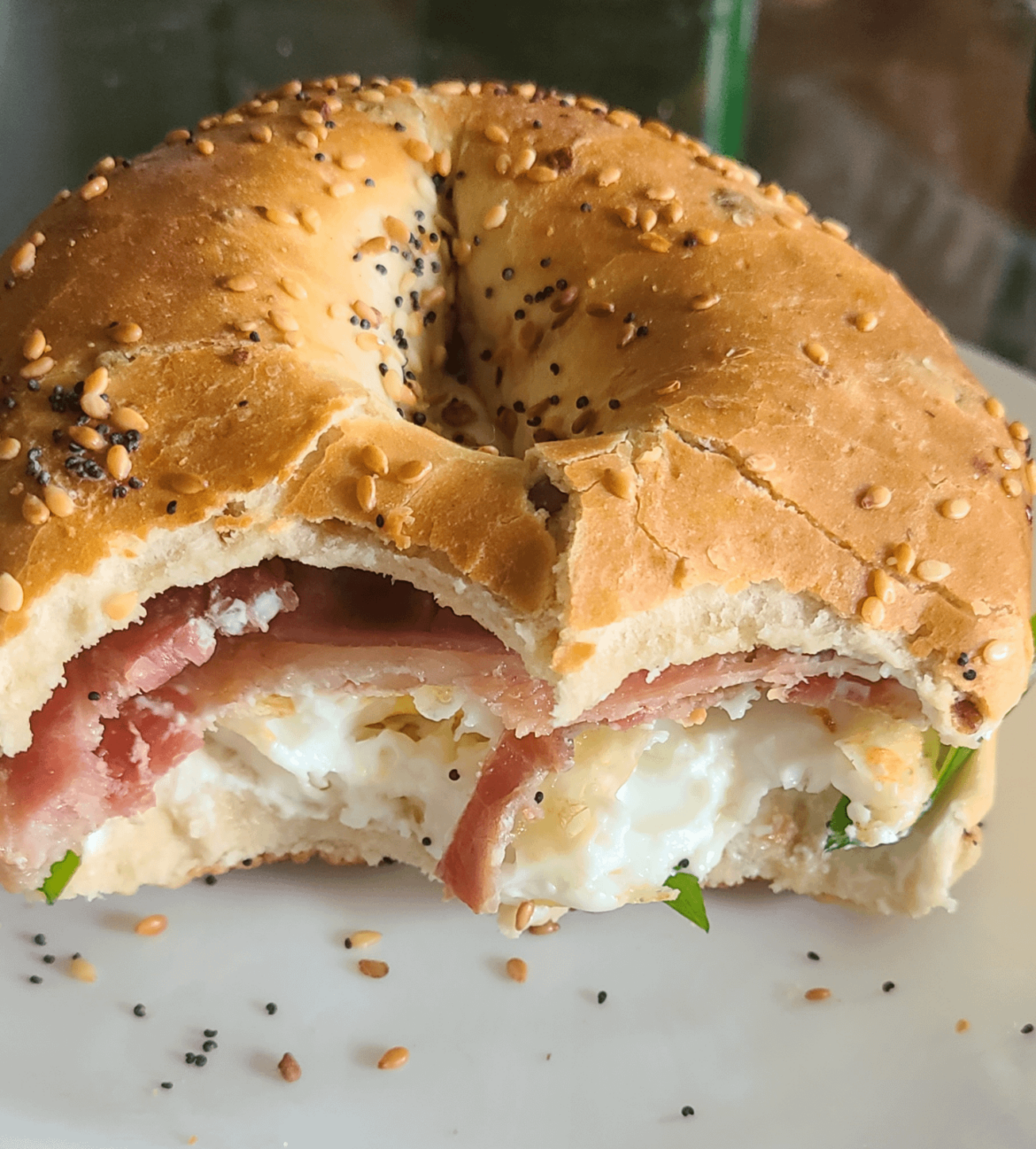 Bacon, egg, cream cheese, green onion on everything bagel