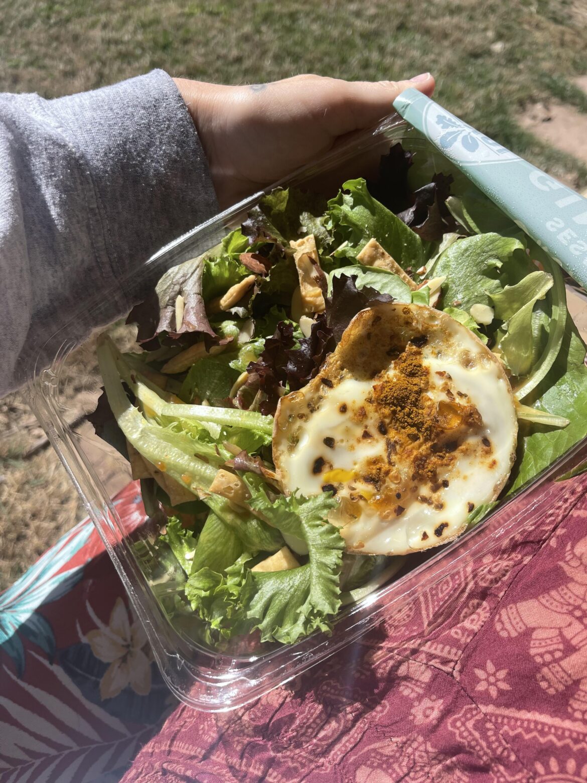 Egg on Mixed Salad Kit