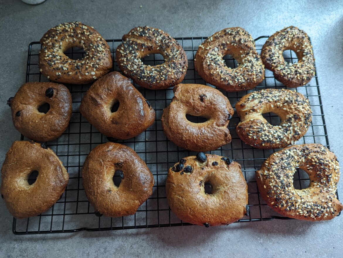 First attempt at bagels First attempt at bagels
