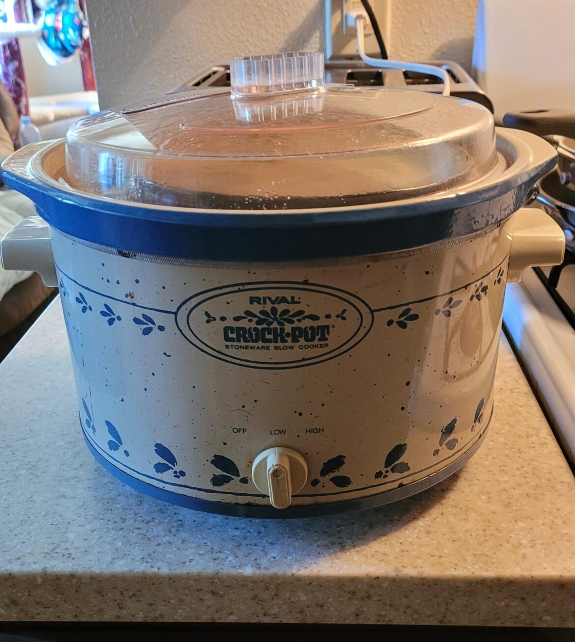 44 year old crock pot handling another saint patties day 🍀