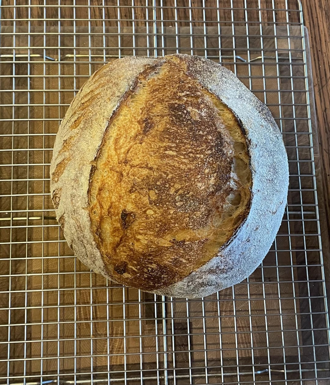 Stand Mixer Sourdough Dining and Cooking