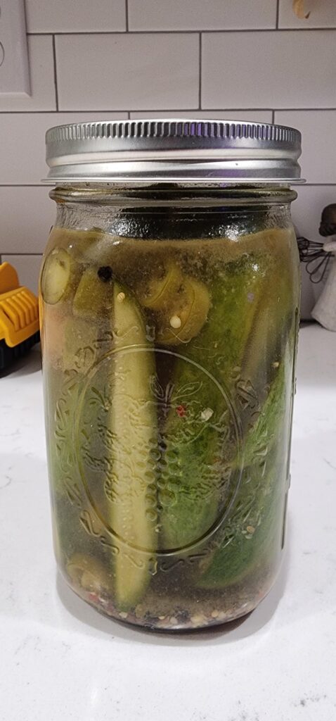 Refrigerator pickles