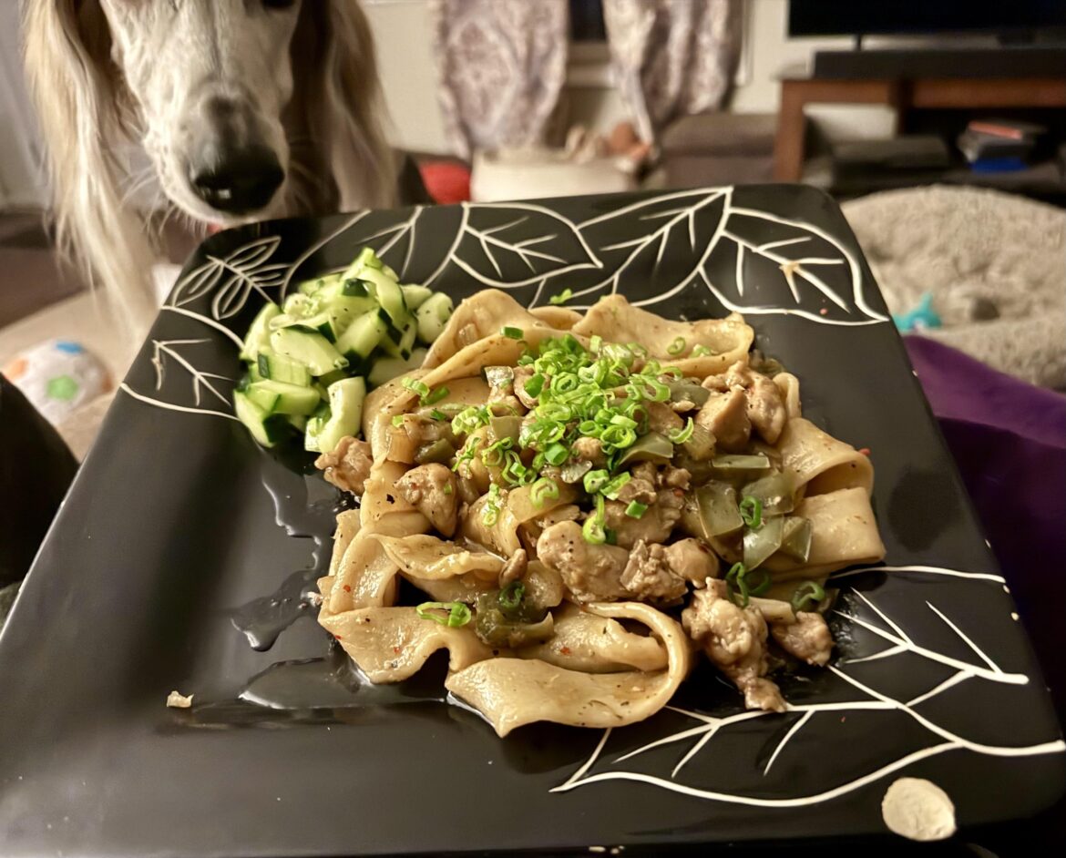 Soy-Cumin Chicken & Hand-Pulled Noodles (9.5/10)