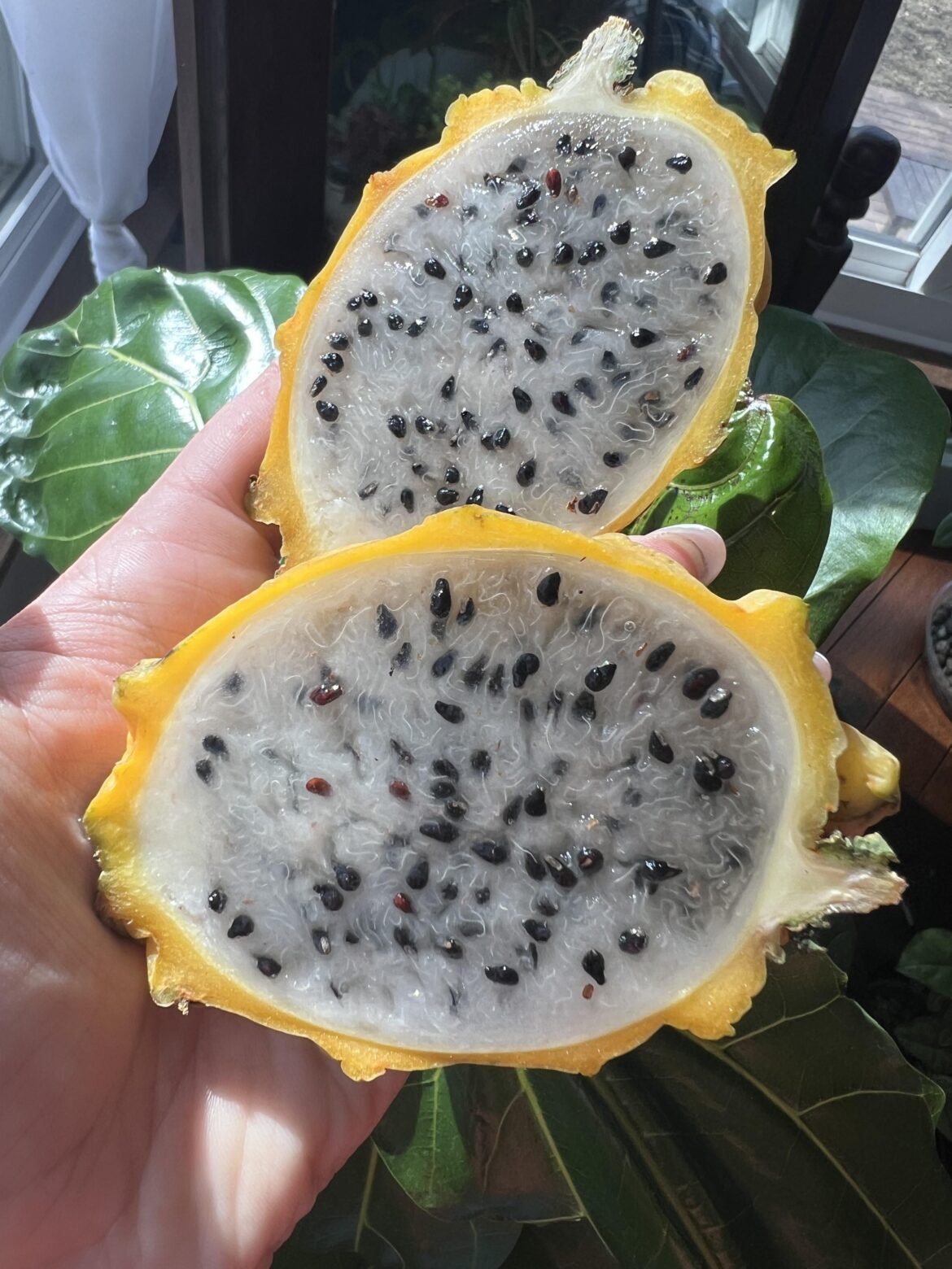 My new favorite part of breakfast