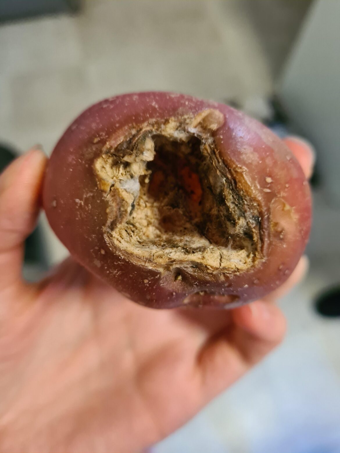 How did this make.it into my box? How did this make.it into my box?