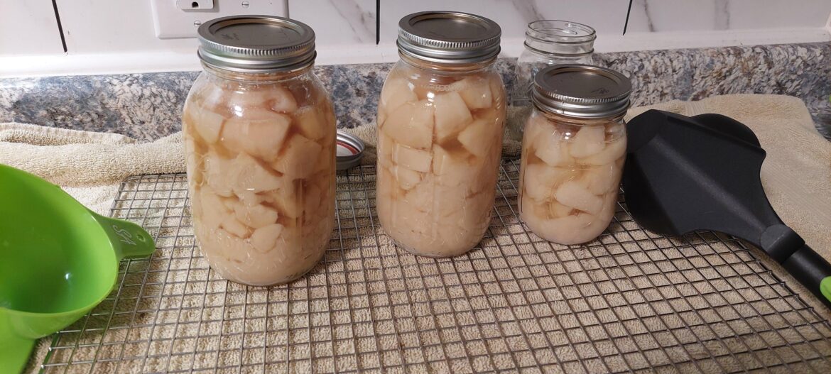 Wanted to update after the advice I got