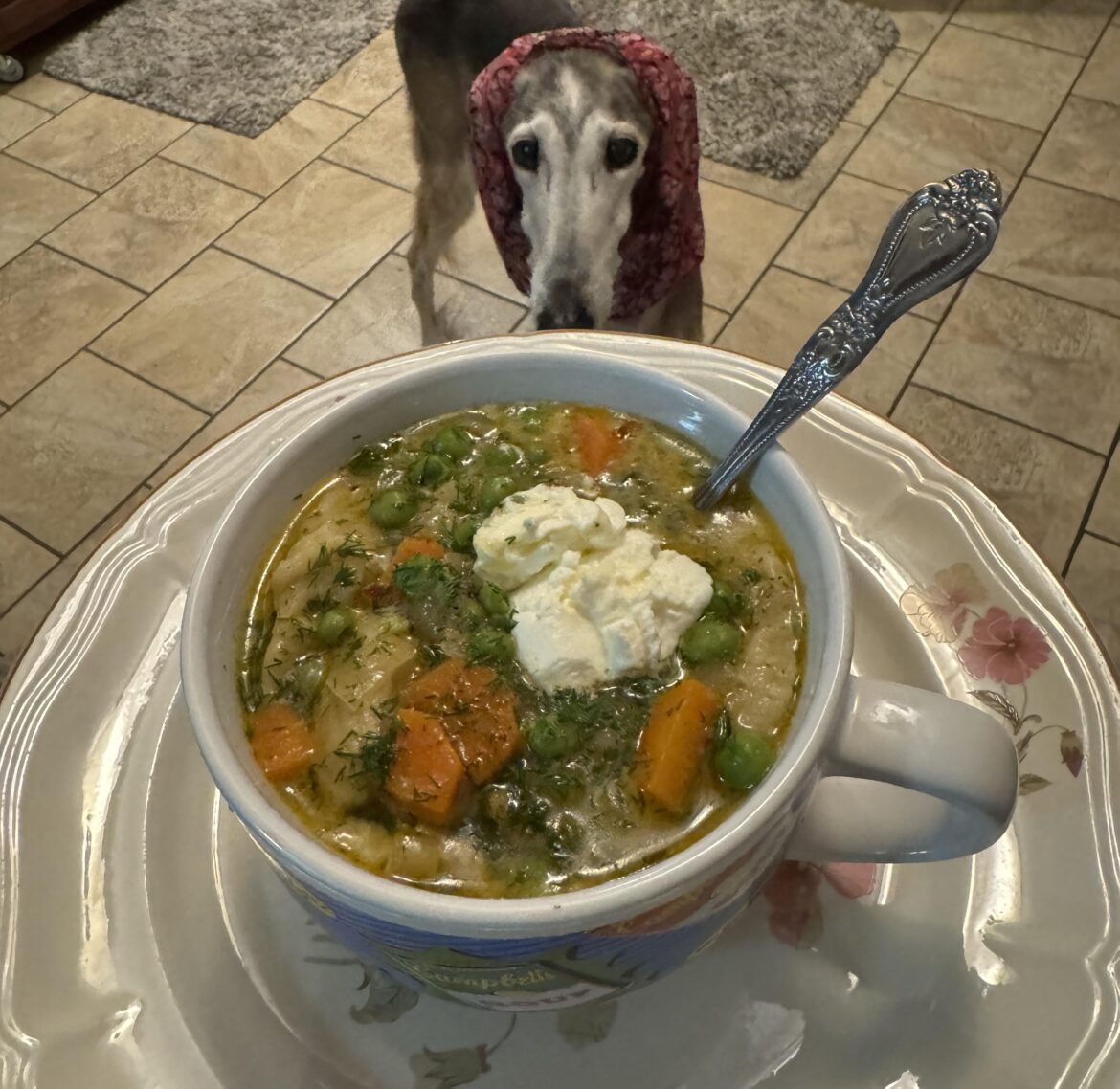 Garden Veggie Soup with Homemade Noodles (9/10) Garden Veggie Soup with Homemade Noodles (9/10)