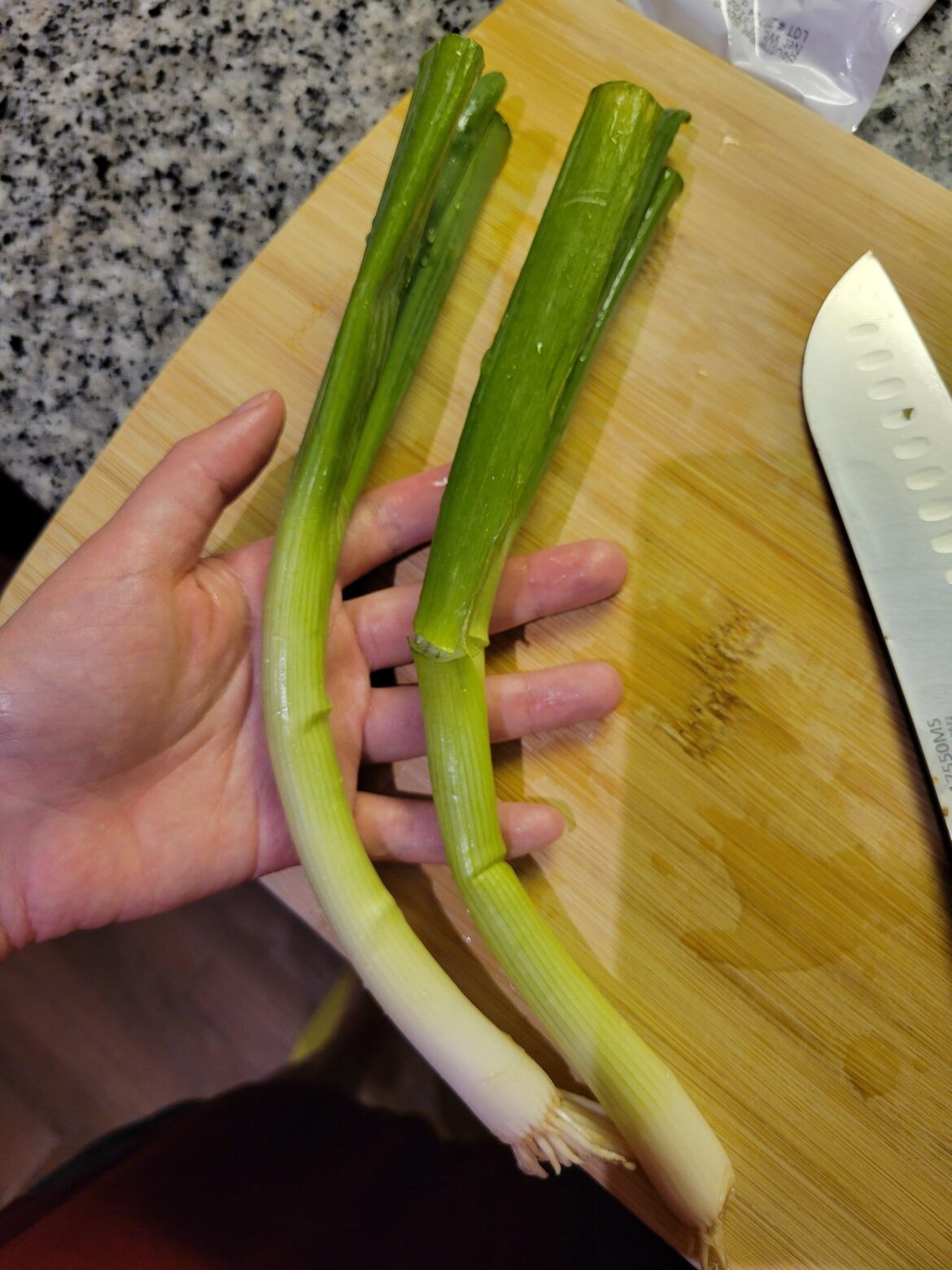 Scallions might be secretly leeks in disguise