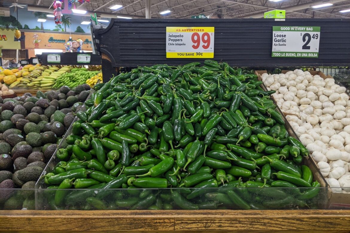 Here’s Why Jalapeño Peppers Are Less Spicy Than Ever