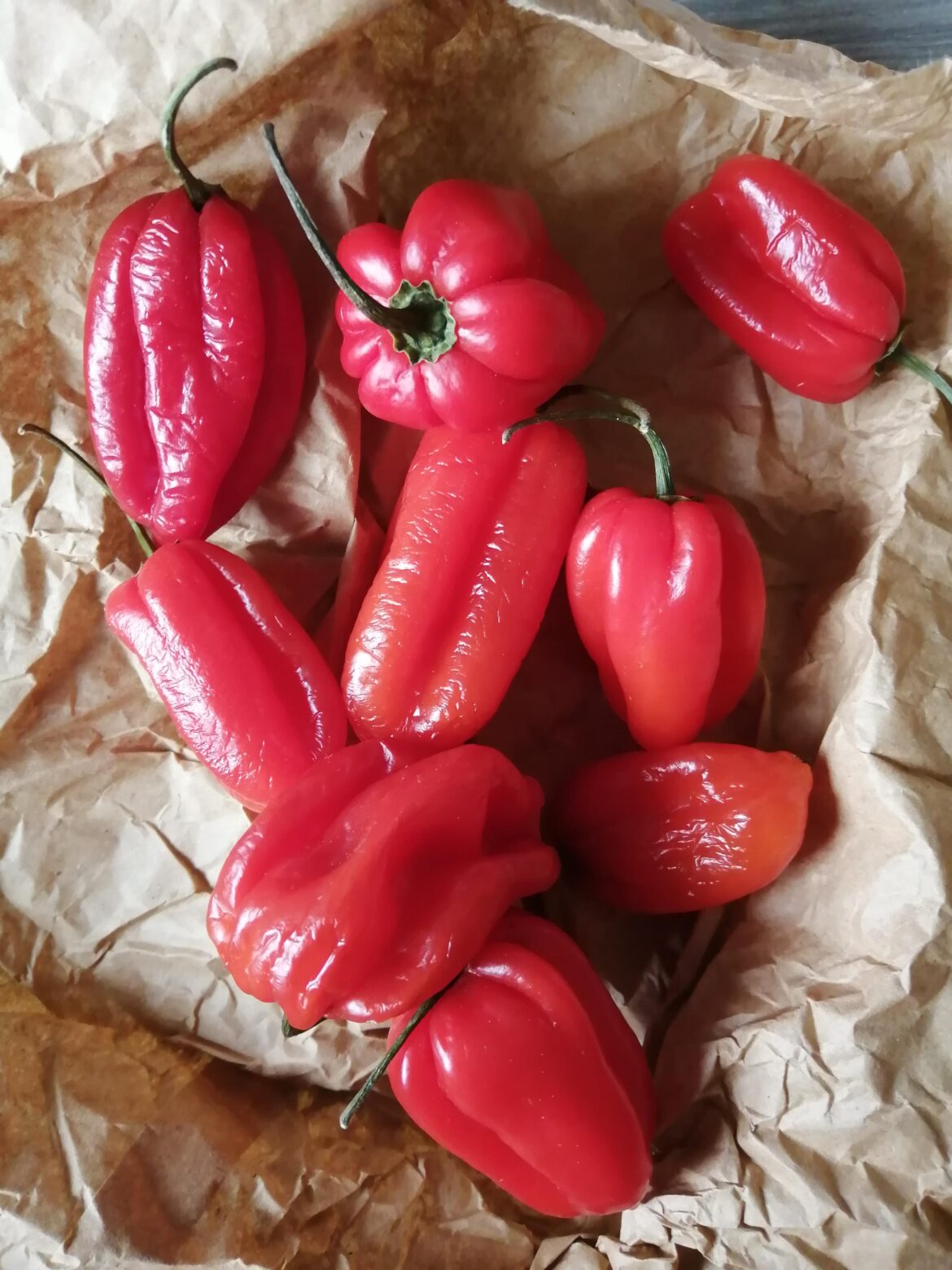 Got some Scotch Bonnets for FREE! They're about to go bad though, what should I do with them?