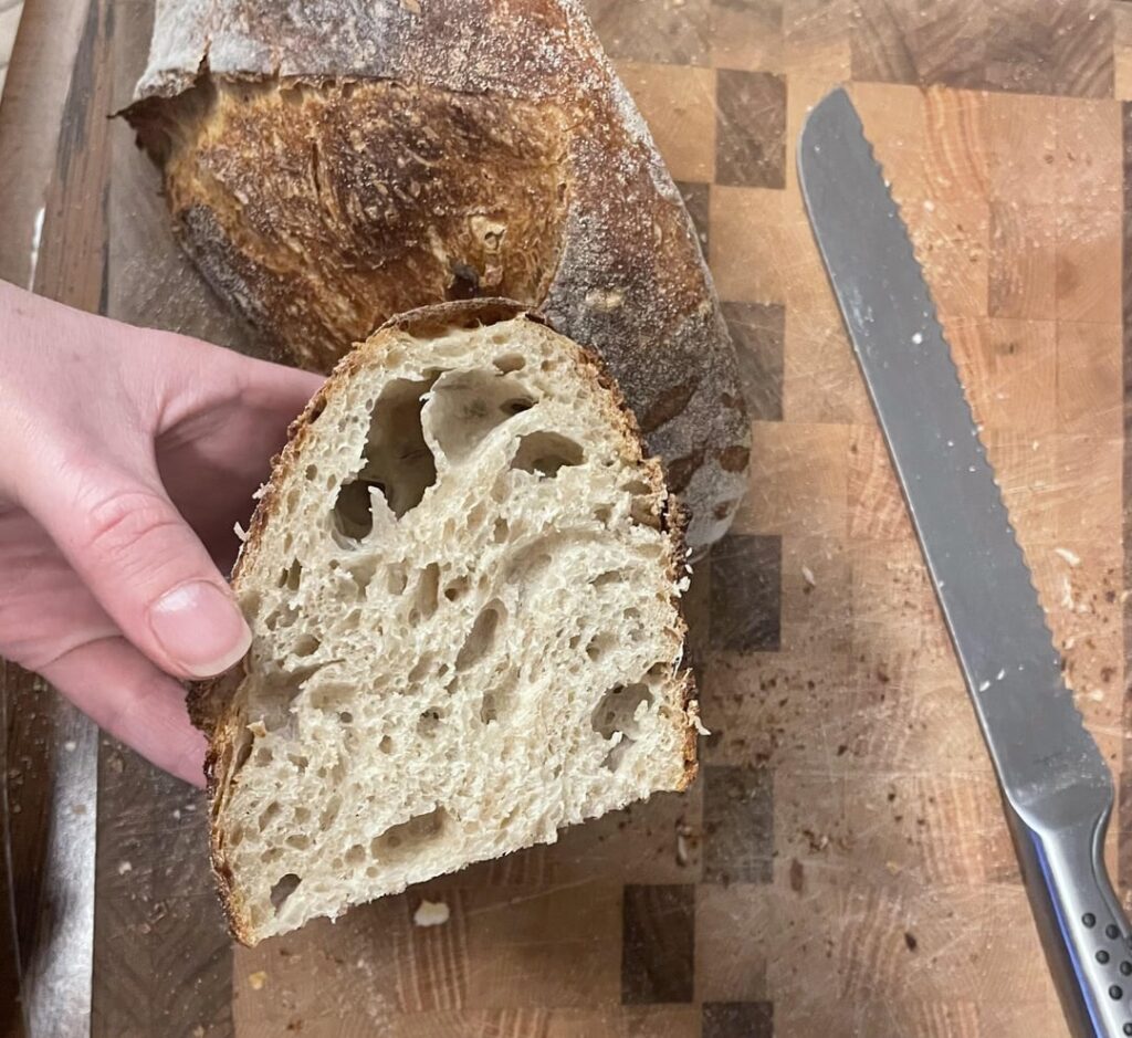 Stand Mixer Sourdough