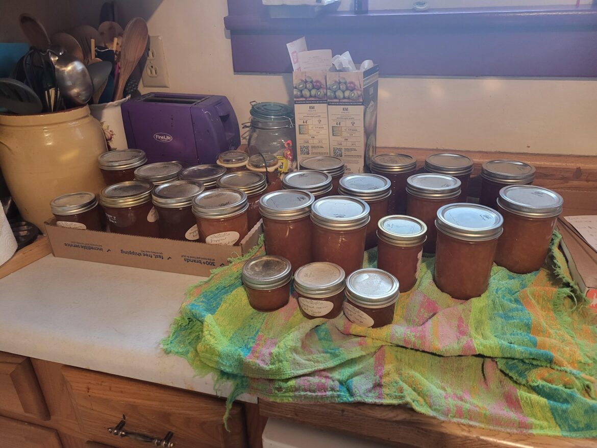 In case anyone wondered, how much marmalade *does* 4.5lbs of zest make?