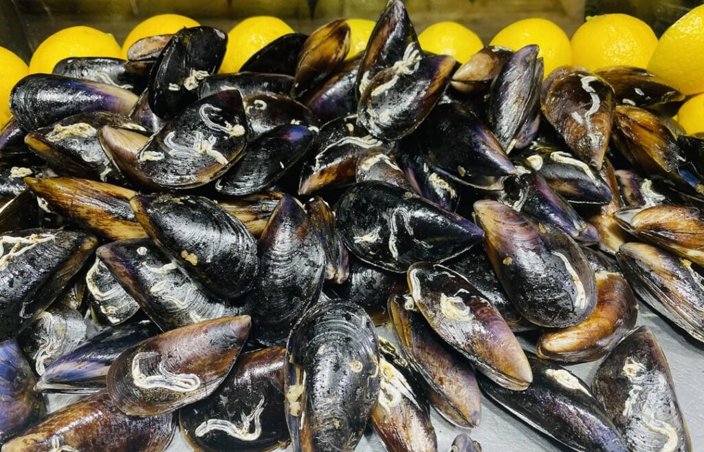 Turkish street food: stuffed mussels