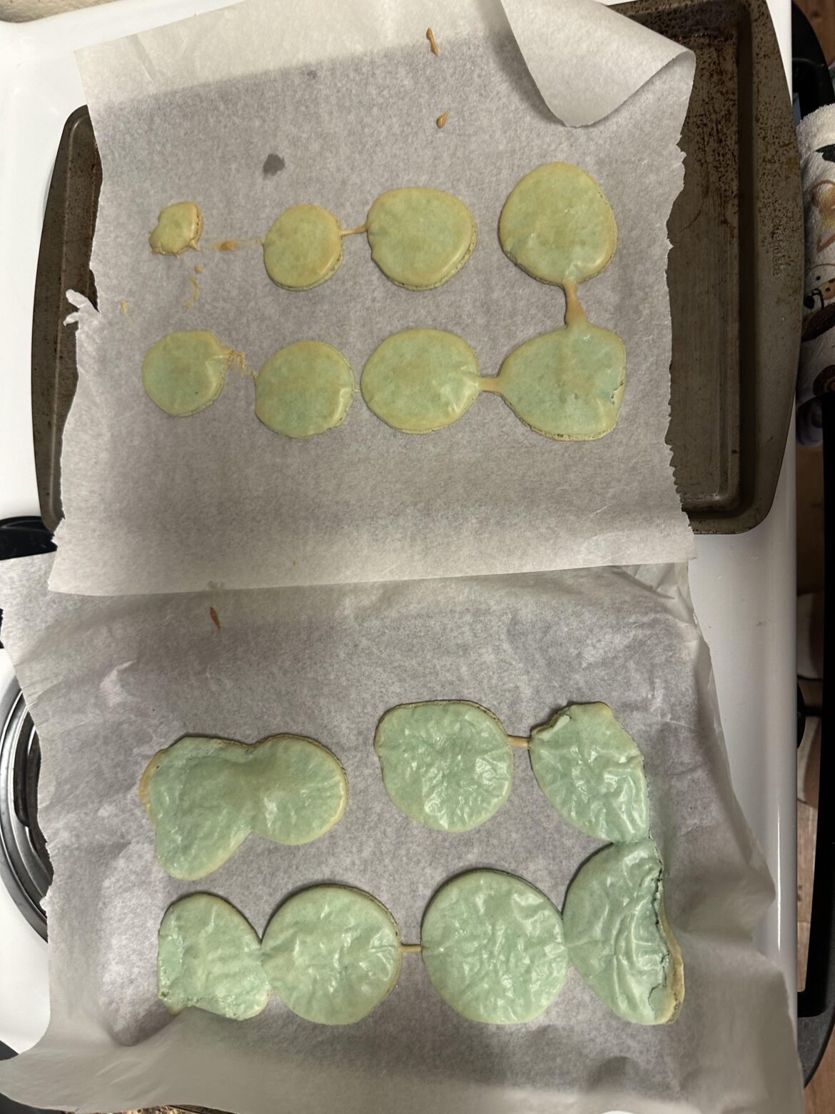 My hilarious first attempt. We all start somewhere, right?