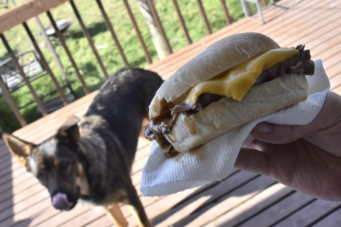 Beef on a bun, bonus Shepherd with tall dreams
