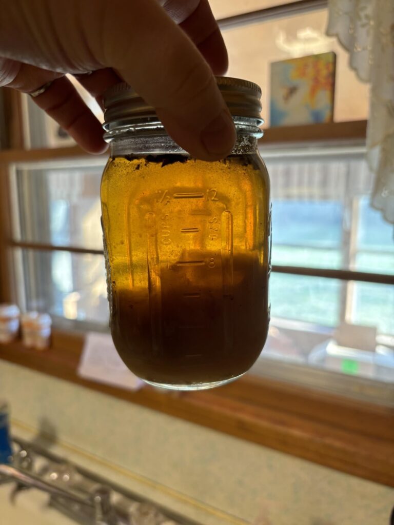 First Chicken Stock Canning: One Year Later First Chicken Stock Canning: One Year Later