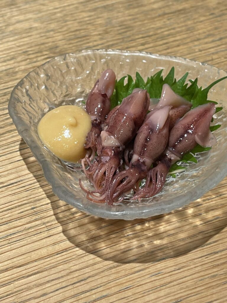 Firefly Squid