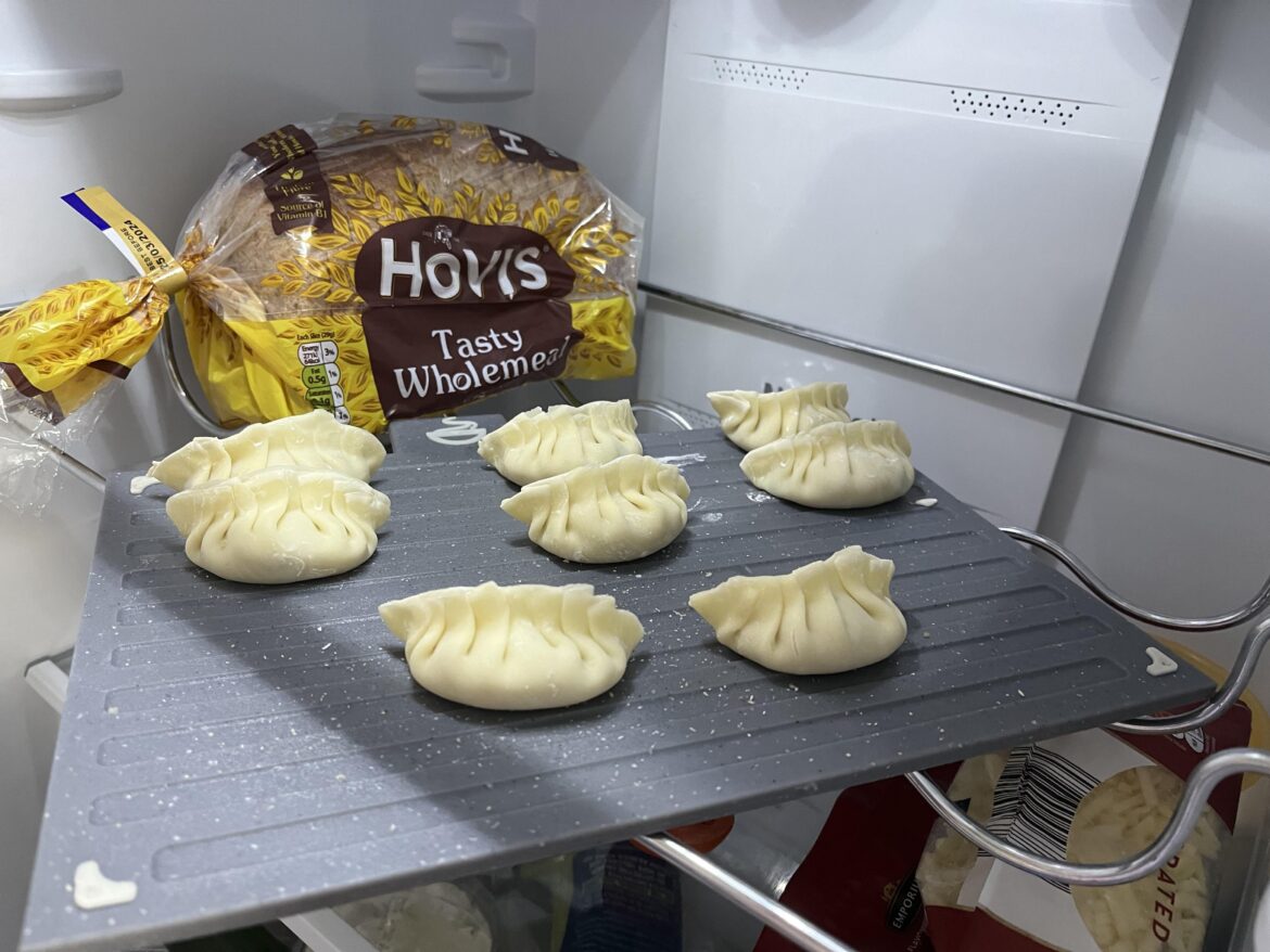 My first attempt at Dakgogi mandu 닭고기 만두