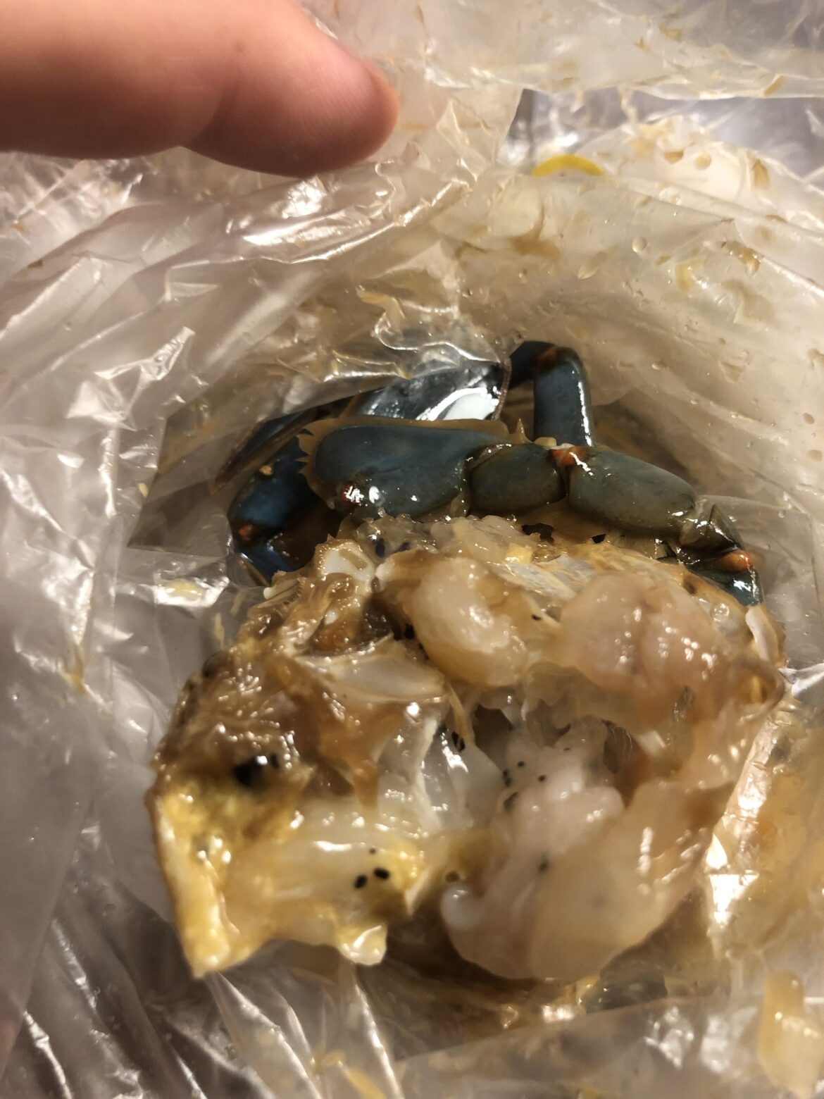 Should I be worried about these black specks? (Gejang)