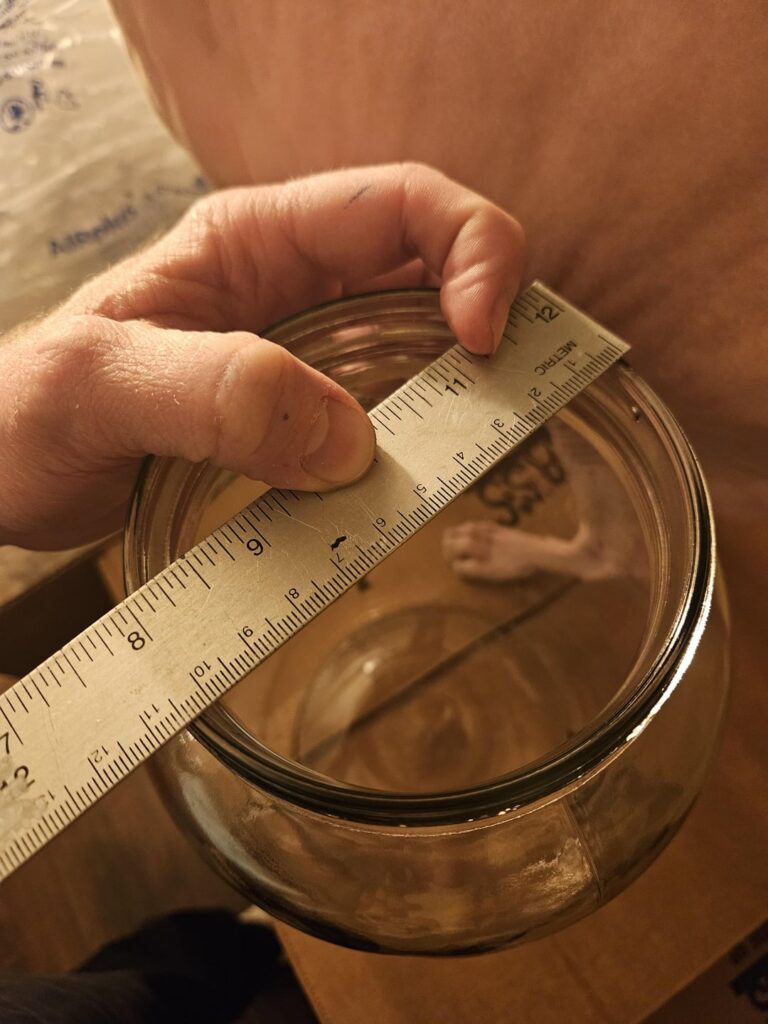 Sourcing lids for gallon jars