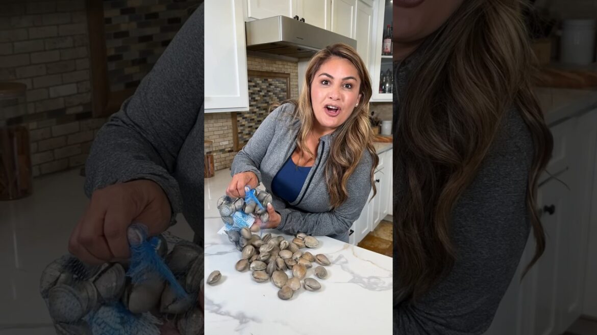 Clam Chowder Clam Chowder