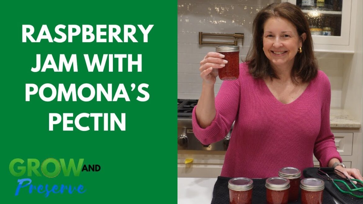 Raspberry Jam | Canning with Pomona's Pectin and Allulose