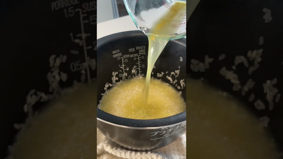 rice cooker recipes pt. 1 ~ chicken & soy sauce rice rice cooker recipes pt. 1 ~ chicken & soy sauce rice