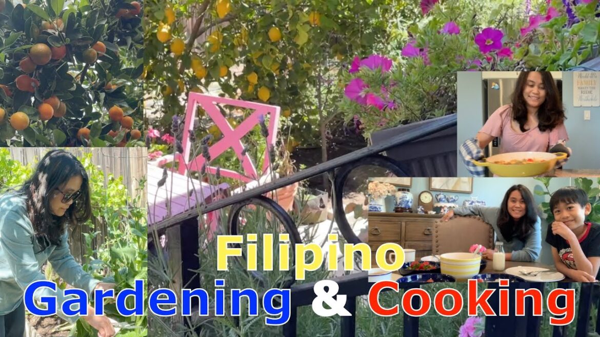 Filipino Vegetable Garden and Cooking #gardening #vegetablegarden #harvest #pinoyfood Filipino Vegetable Garden and Cooking #gardening #vegetablegarden #harvest #pinoyfood