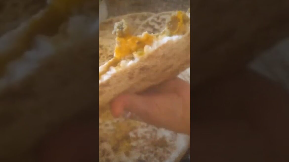 بطبوط معمر بالقمح الكامل او خبزات معمرين بالكفتة والخضر