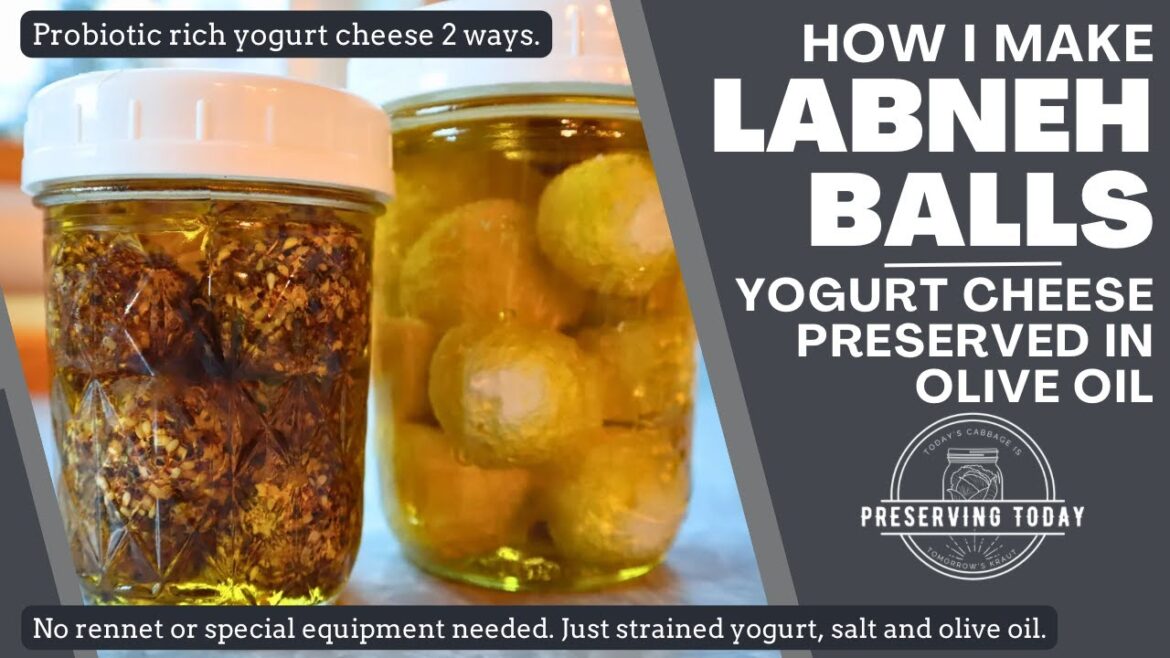 Homemade Yogurt Cheese Preserved in Oil | Labneh Balls