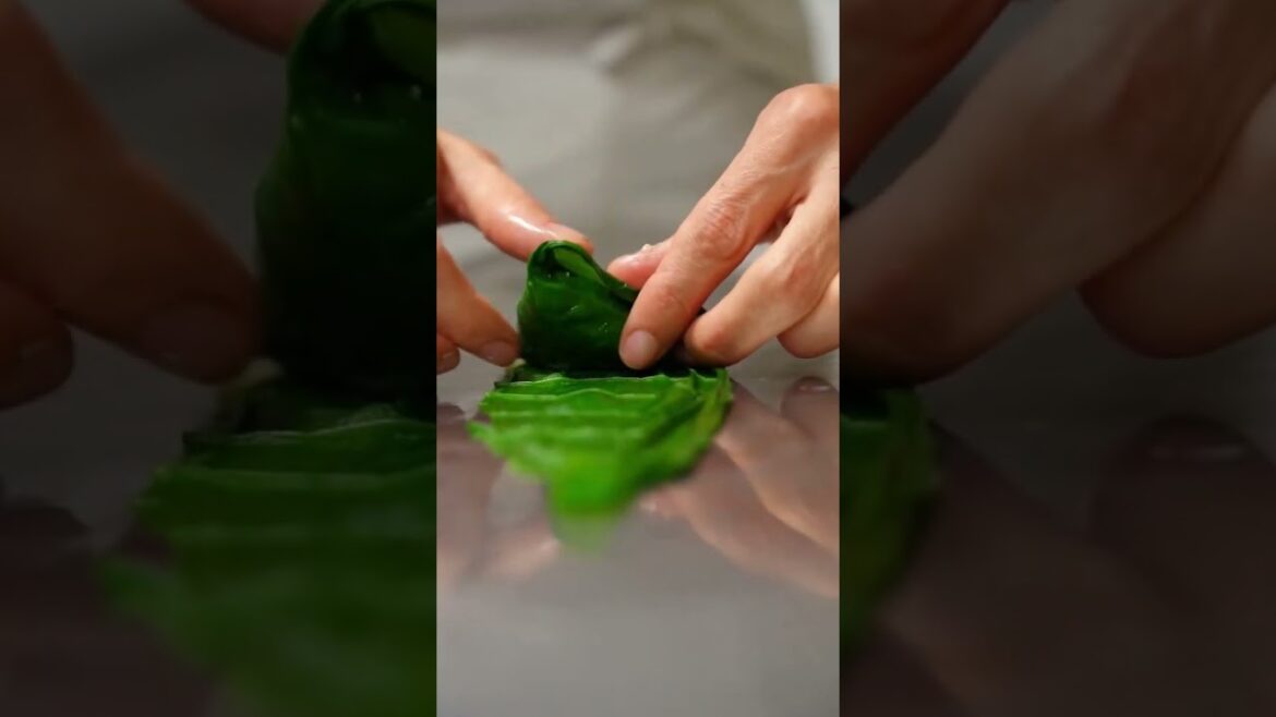 Sinem Özler'den Lorlu Pazı Dolması Tarifi Kanalımızda