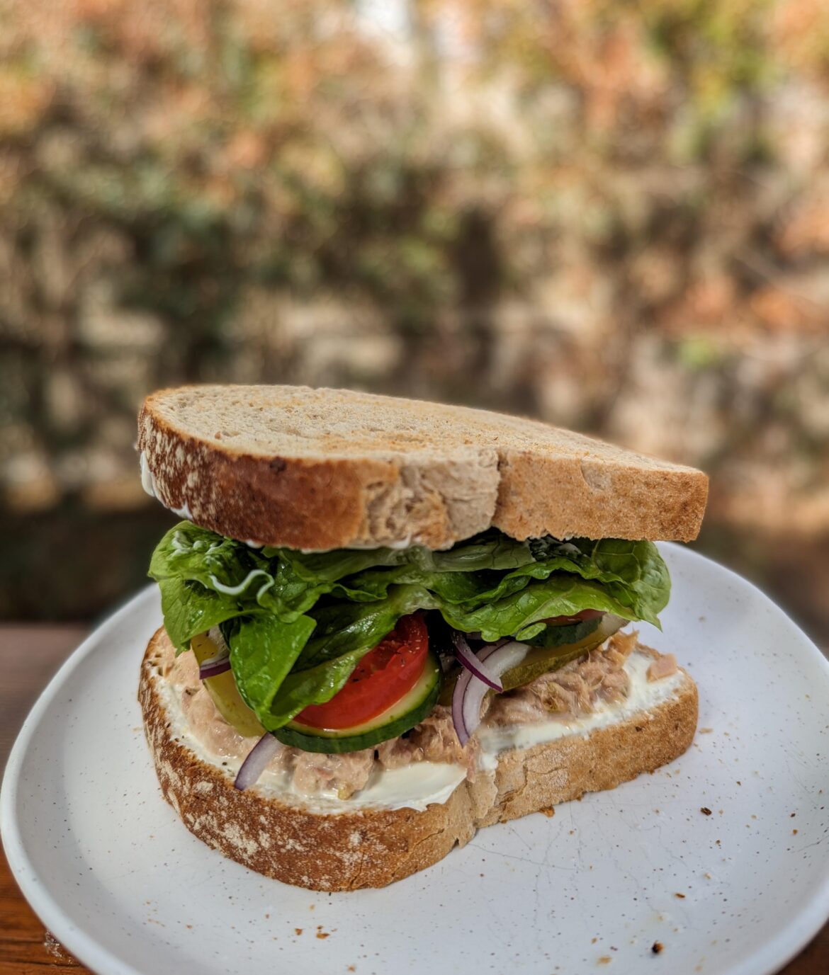 Tuna and Salad on Lightly Toasted Rye