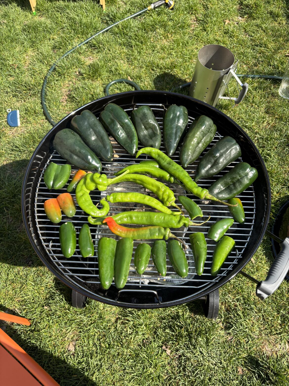 Soon to be smoked and eventually made into sauce 🤤