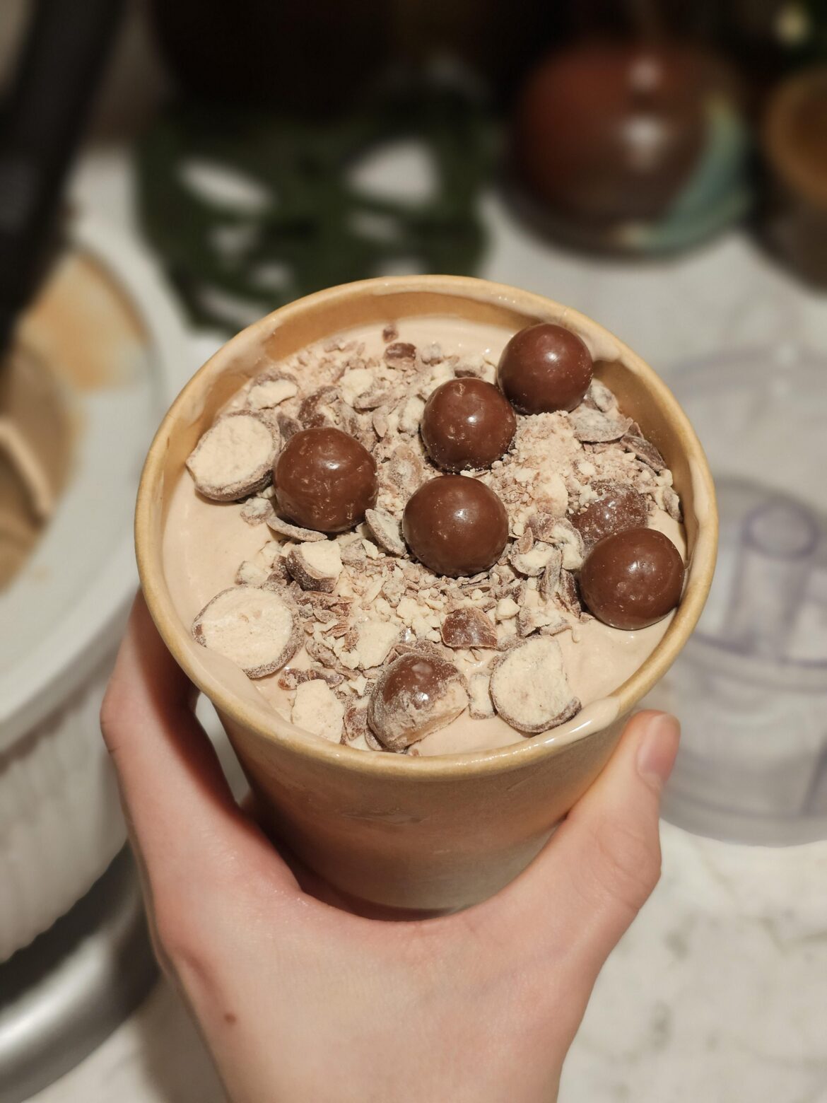 Choco Malt Whopper Ice Cream