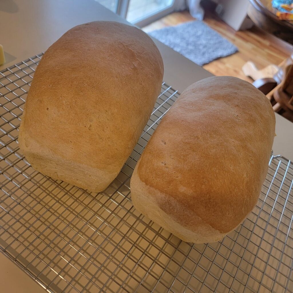 First successful sandwich loaf! First successful sandwich loaf!