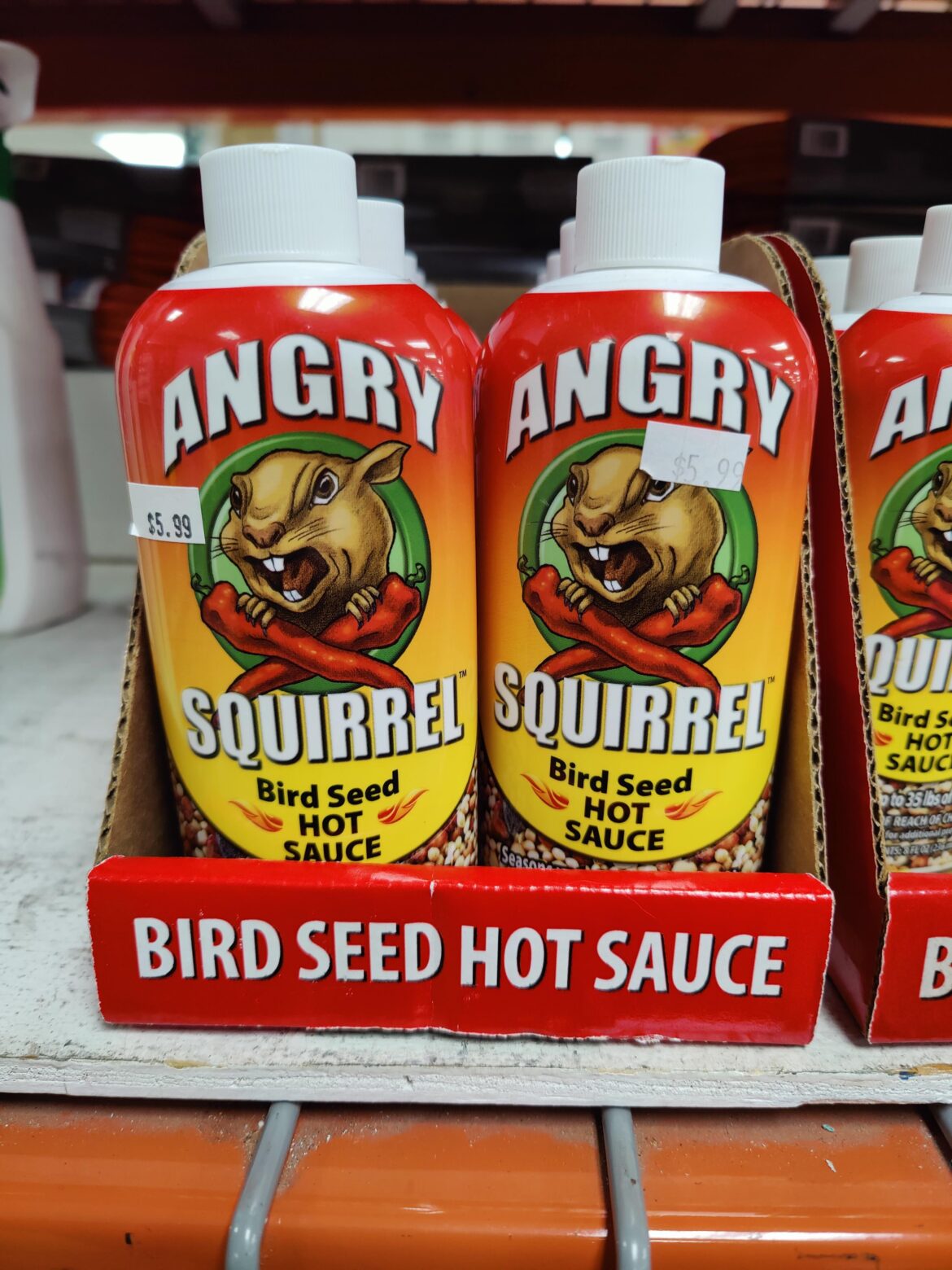 Has anyone tried this?