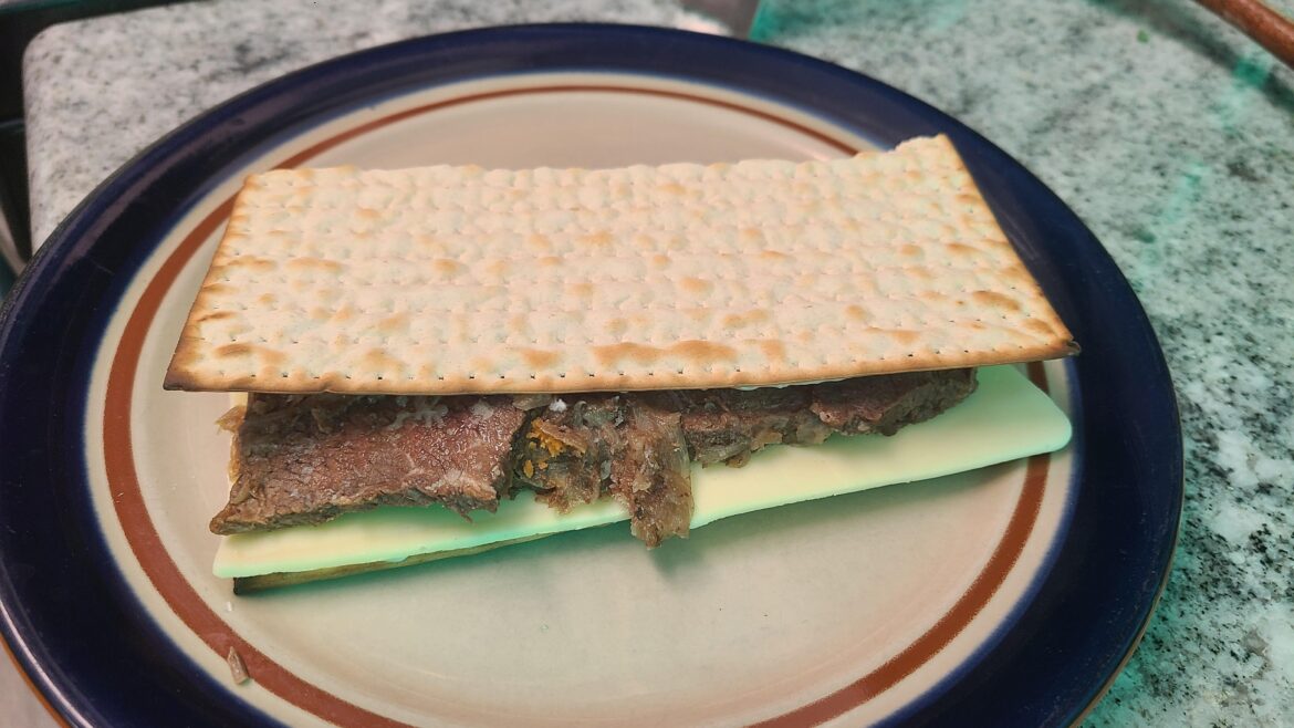 Leftover brisket & matzoh sandwich. Does this count?