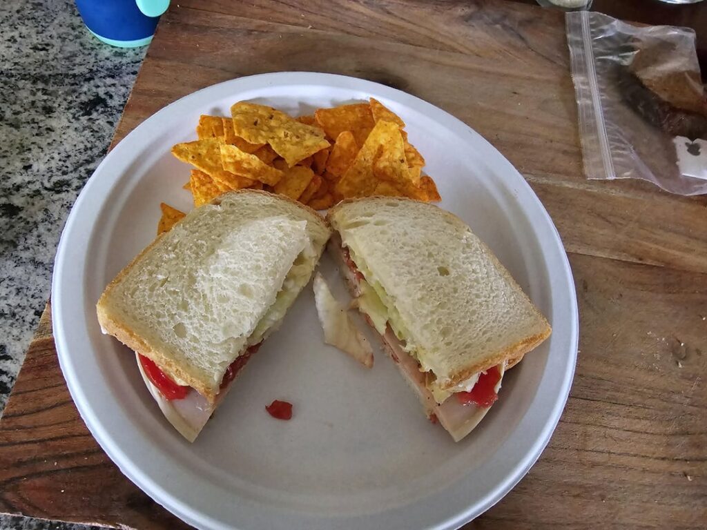 Made a turkey sandwich with lettuce, tomatoes and Mayo/Dijon Mustard for lunch along with Doritos