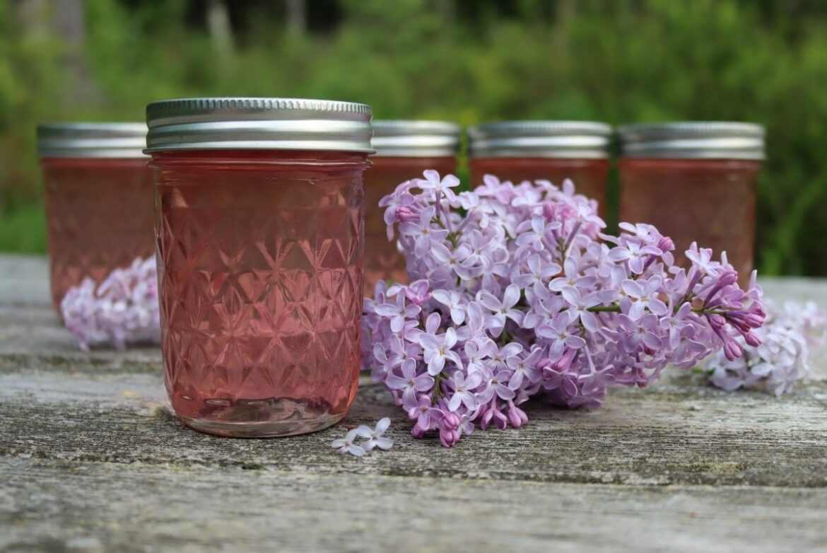 Lilac jelly recipe Lilac jelly recipe