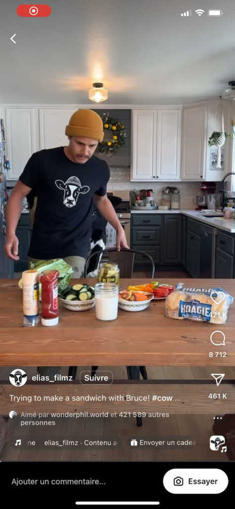 Bruce the cow loves sandwiches (and I love Bruce)