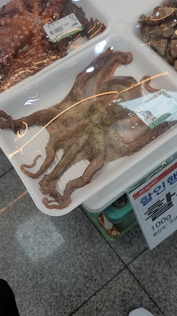 문어도 음식이지