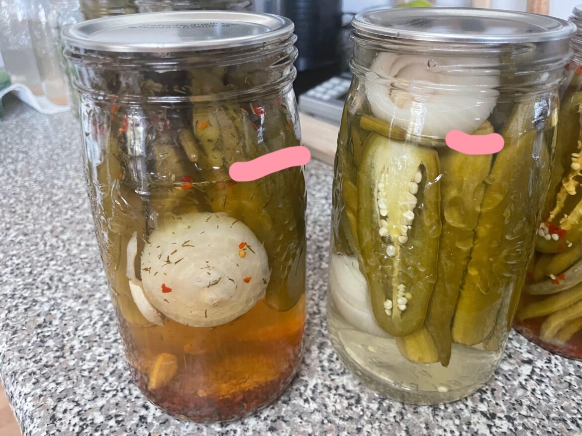 Vegetables poking out of pickling liquid after canning