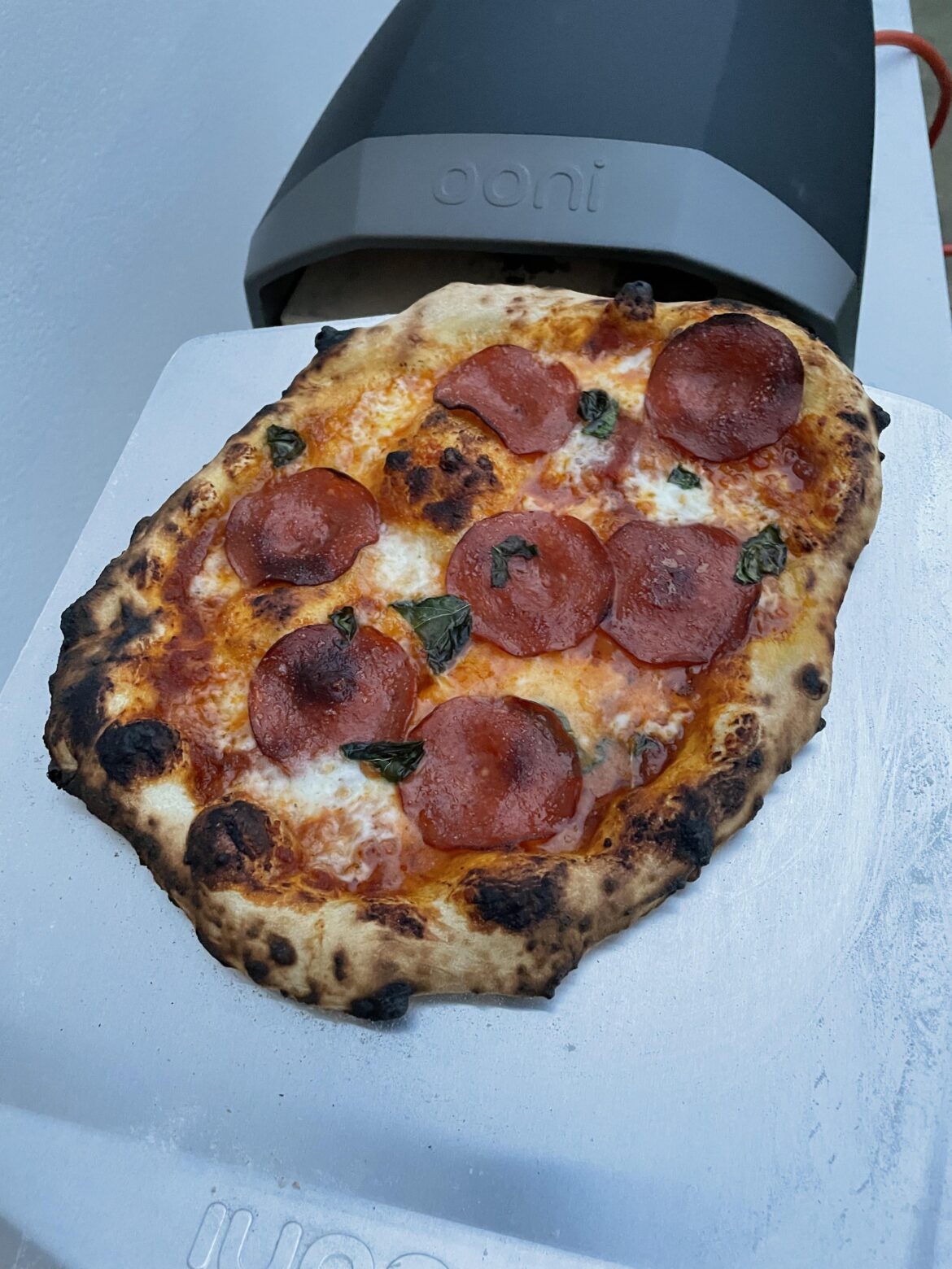 First cook in the Ooni. How’d I do?