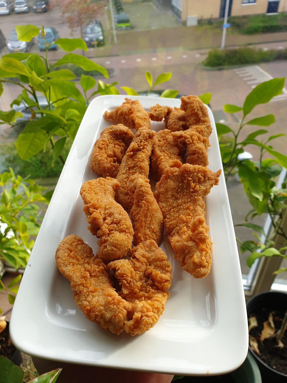 Homemade crispy fried chicken strips