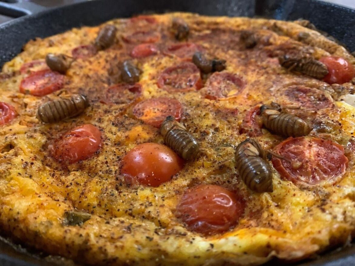 She said she had cicadas in abundance