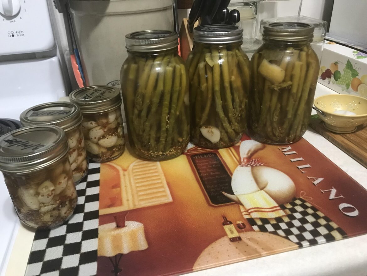 Pickled a batch of asparagus and garlic for the first time