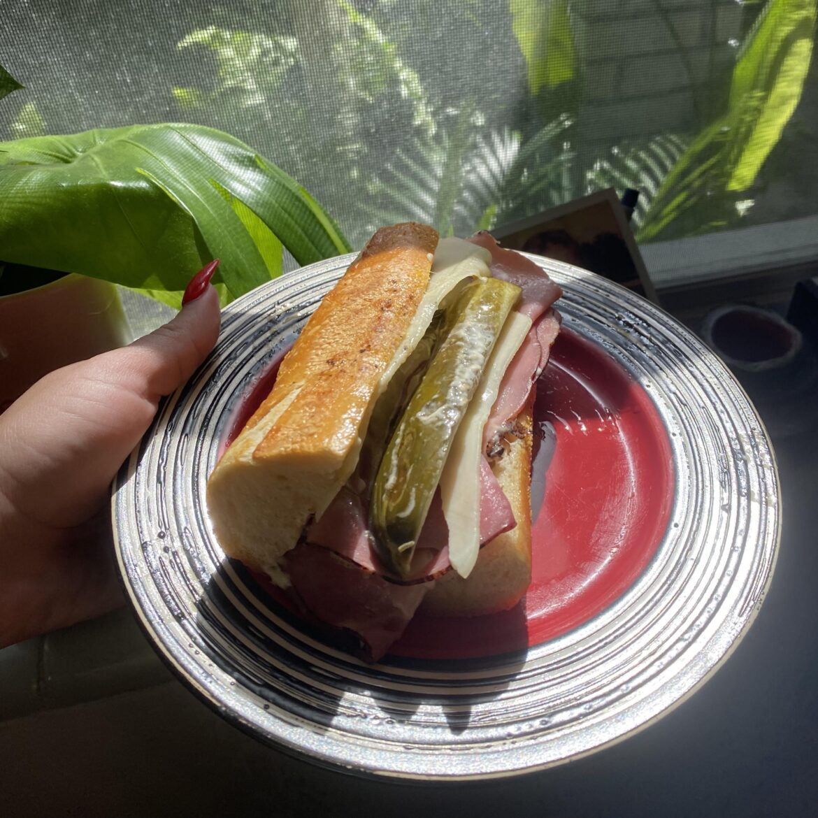 Made my girlfriend a ham and swiss